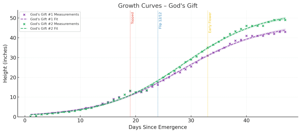 bbs-grow-diaries/week-537768-diary-528437-user-38149-6932208c7ec16