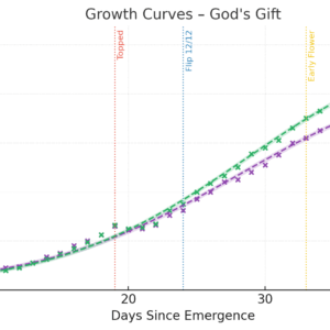 Flowering Week - 6 - God’s Gift - 1