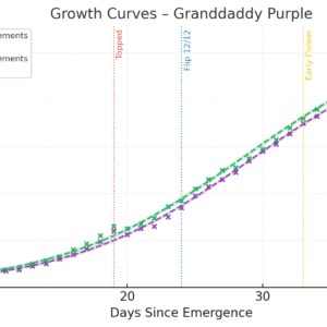 Flowering Week - 6 - Granddaddy Purple - 1