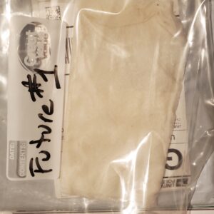 Germination Week - 0 - Fat Bastard Auto - 1