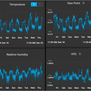 Flowering Week - 9 - Granddaddy Purple - 4
