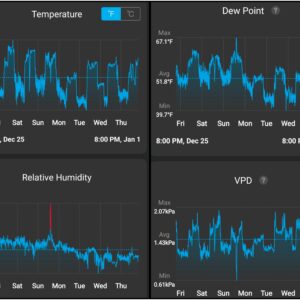 Flowering Week - 10 - Granddaddy Purple - 3