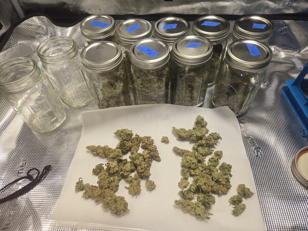 bbs-grow-diaries/week-541987-diary-521013-user-43815-695e1ae6aa474