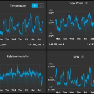 Flowering Week - 11 - God’s Gift - 1