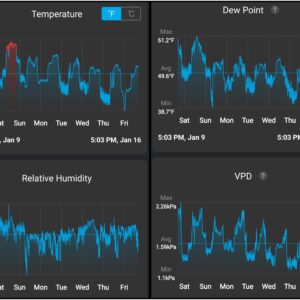 Flowering Week - 12 - Granddaddy Purple - 1