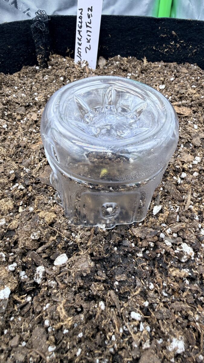 bbs-grow-diaries/week-544336-diary-544335-user-41895-696c46725cb4c