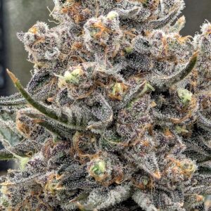 Flowering Week - 13 - Granddaddy Purple - 6