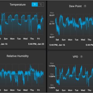 Flowering Week - 13 - God’s Gift - 1