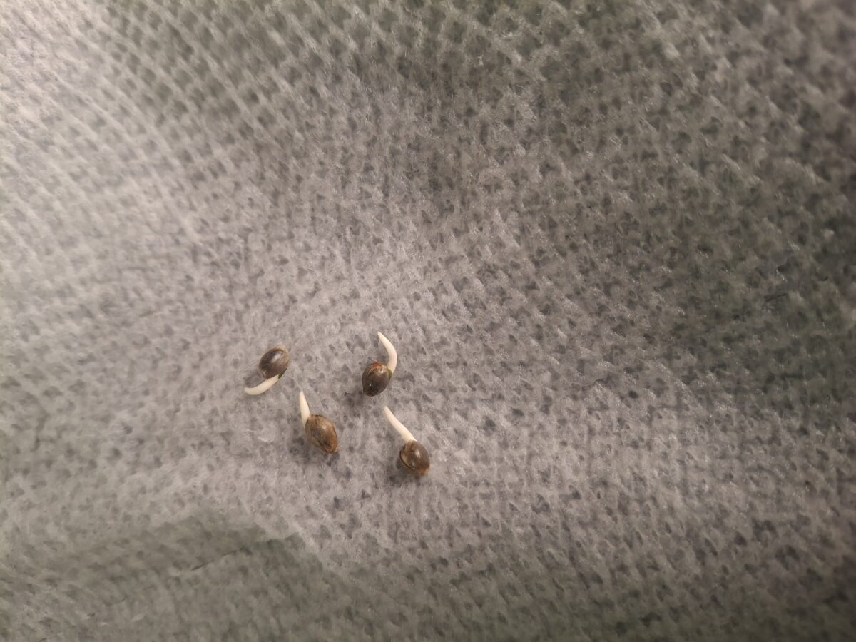 bbs-grow-diaries/week-550133-diary-548592-user-47707-697724b35d169