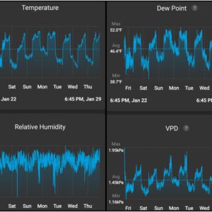 Flowering Week - 14 - Granddaddy Purple - 1
