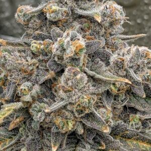 Flowering Week - 14 - Granddaddy Purple - 6