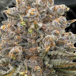 Flowering Week - 14 - Granddaddy Purple - 9