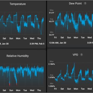 Flowering Week - 15 - God’s Gift - 1