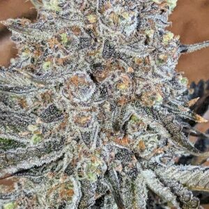 bbs-grow-diaries/week-554203-diary-528534-user-38149-698f6f921522d