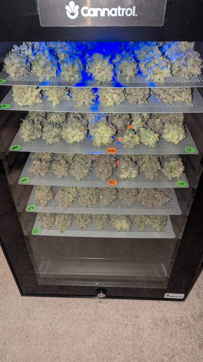 bbs-grow-diaries/week-554203-diary-528534-user-38149-698f6f943376c