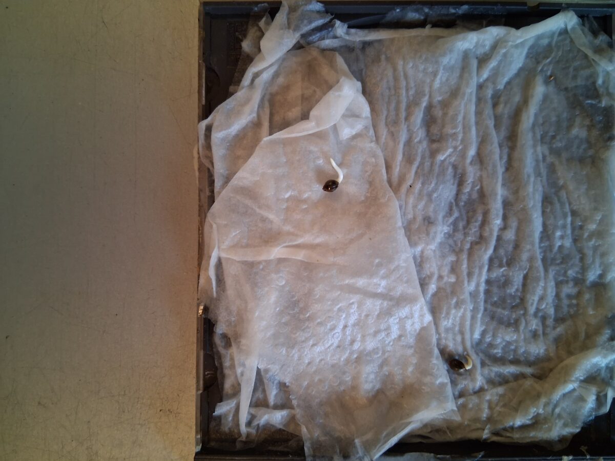 bbs-grow-diaries/week-554368-diary-554197-user-39792-6991f00b83148