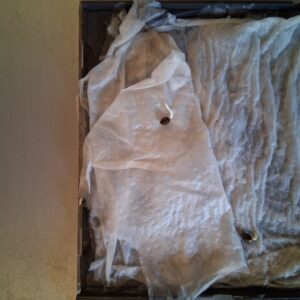 Germination Week - 0 - Ice Cream Cake - 1