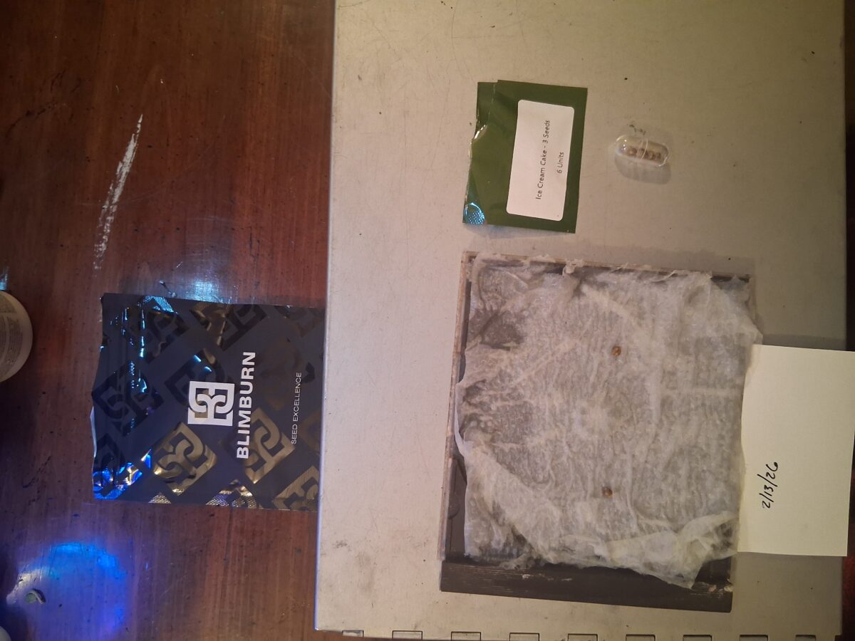 bbs-grow-diaries/week-554368-diary-554197-user-39792-6991f00e2250e