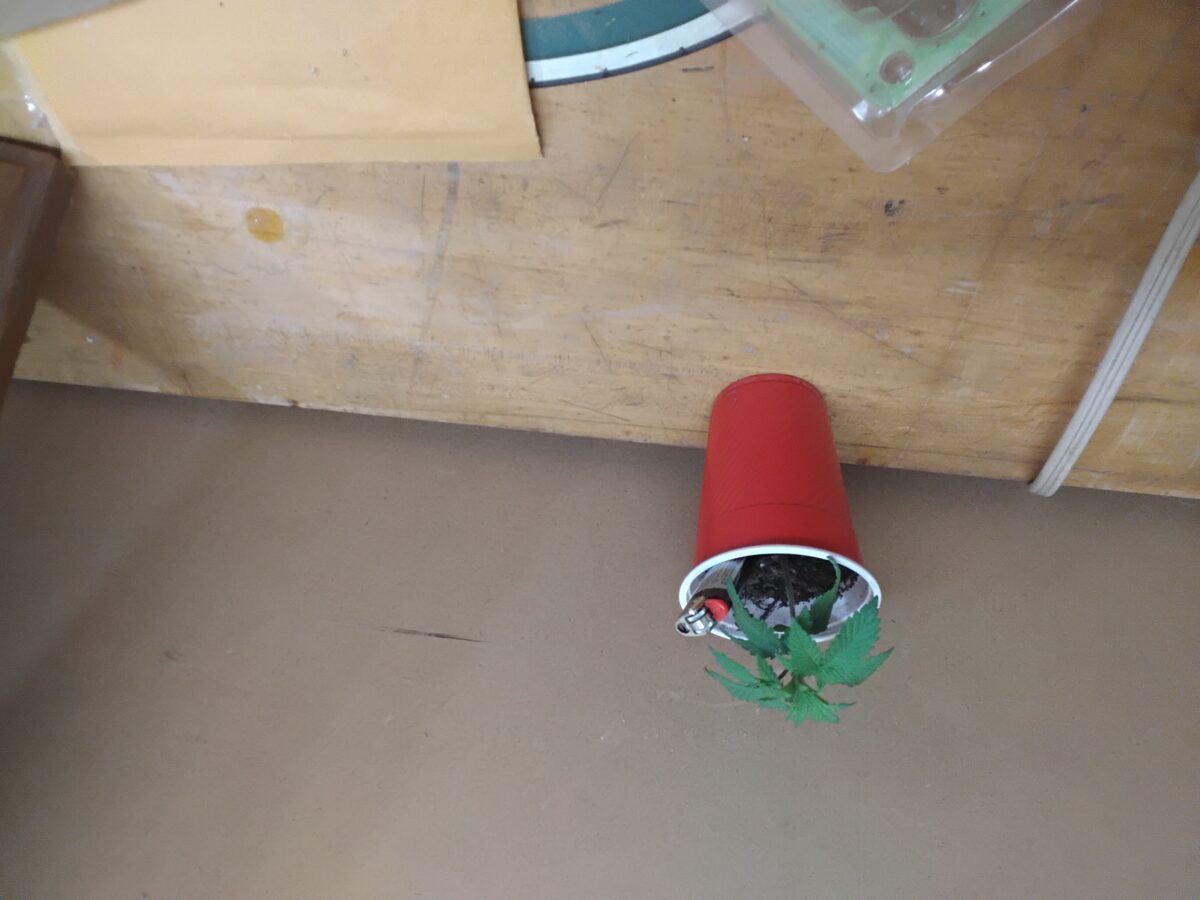 bbs-grow-diaries/week-554817-diary-551228-user-7727-6994fadb325a7