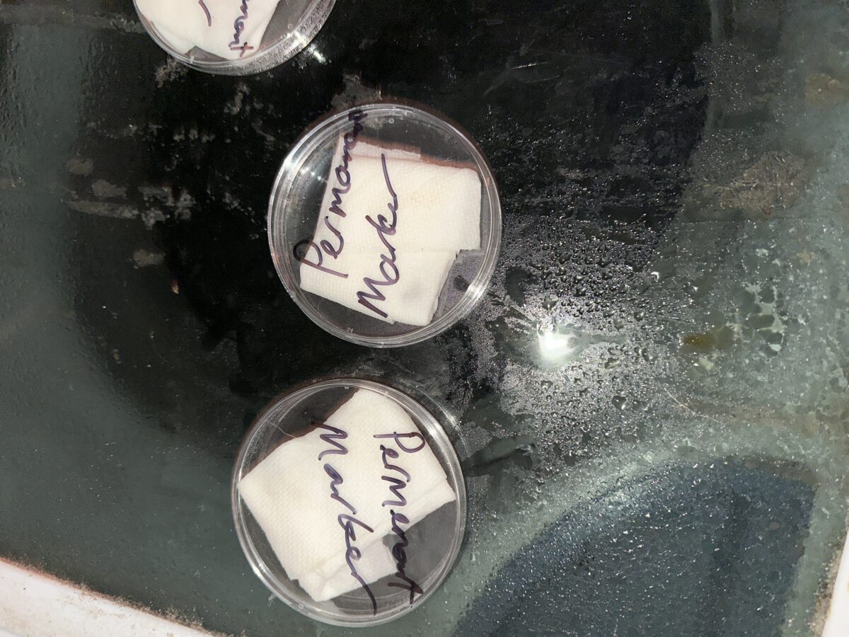 bbs-grow-diaries/week-555540-diary-555539-user-46933-699b83222cd14