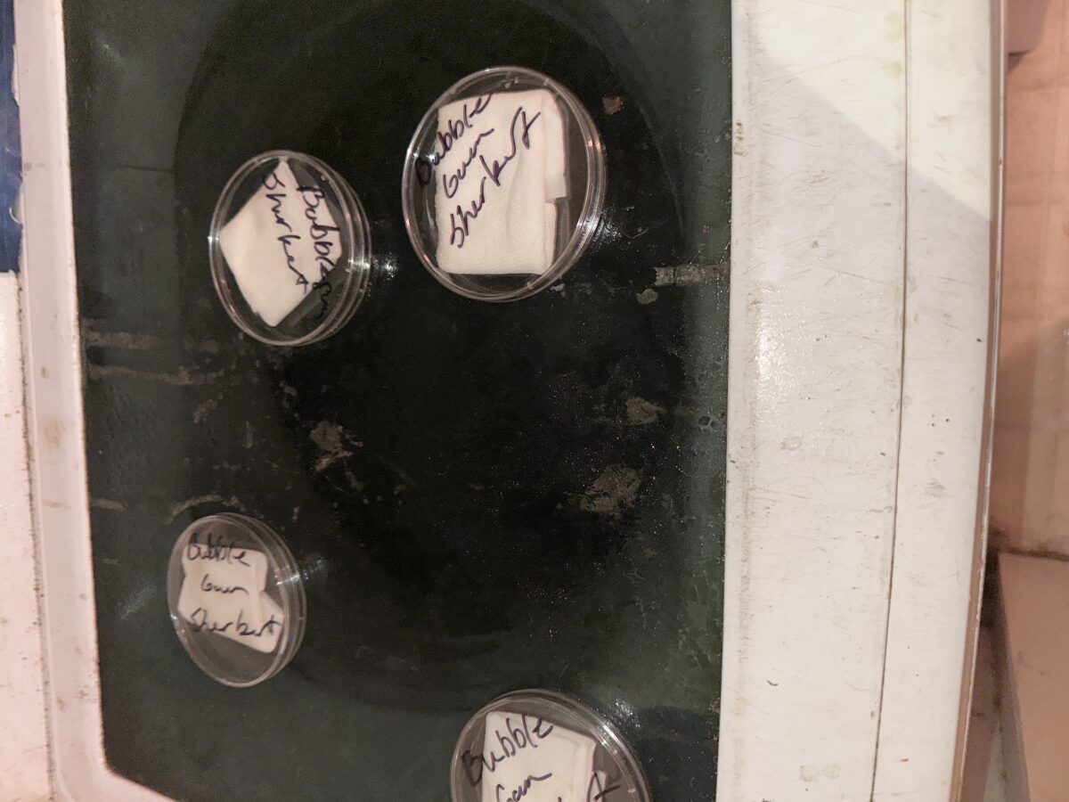 bbs-grow-diaries/week-555543-diary-555541-user-46933-699b8460a4b8a