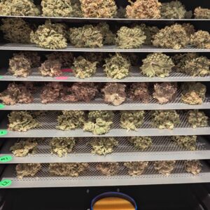 bbs-grow-diaries/week-556174-diary-528437-user-38149-69a107359f1e2