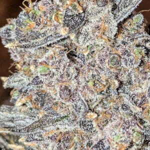 bbs-grow-diaries/week-556174-diary-528437-user-38149-69a10738dd88a