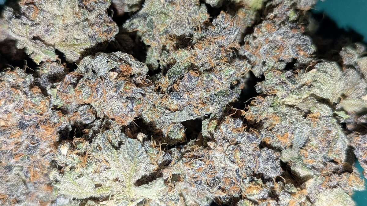 bbs-grow-diaries/week-556174-diary-528437-user-38149-69a1073b14cab