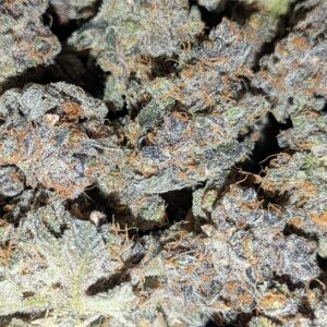 bbs-grow-diaries/week-556174-diary-528437-user-38149-69a1073b14cab