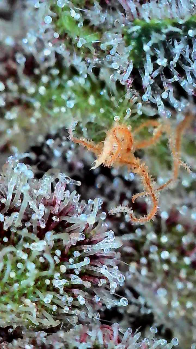 bbs-grow-diaries/week-556174-diary-528437-user-38149-69a1073d2d5cf