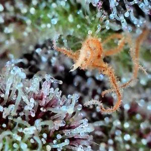 bbs-grow-diaries/week-556174-diary-528437-user-38149-69a1073d2d5cf